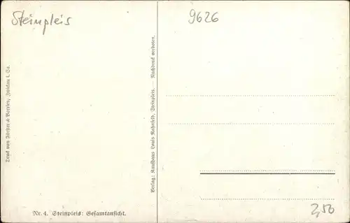 Künstler Ak Steinpleis Werdau in Sachsen, Gesamtansicht