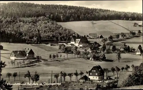 Ak Rehefeld Zaunhaus Altenberg im Erzgebirge, Teilansicht