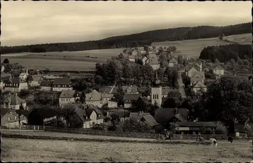 Ak Wernesgrün Steinberg im Vogtland, Panorama