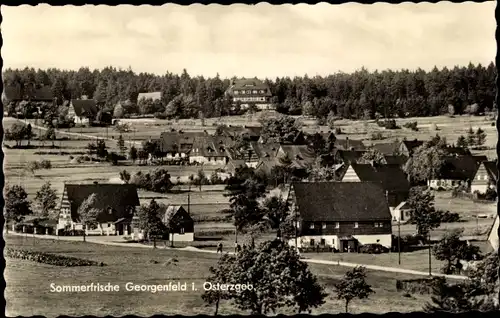 Ak Zinnwald Georgenfeld Altenberg im Erzgebirge, Panorama