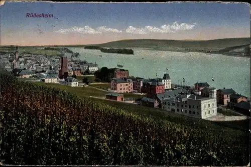 Ak Rüdesheim am Rhein, Panorama