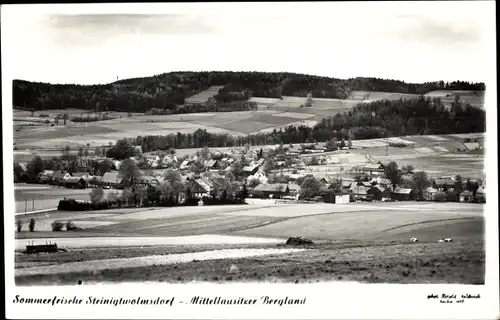 Ak Steinigtwolmsdorf in der Lausitz, Panorama