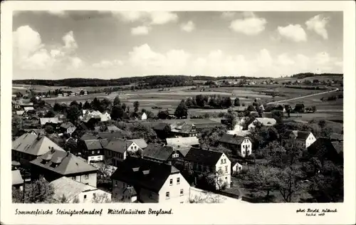 Ak Steinigtwolmsdorf in der Lausitz, Teilansicht