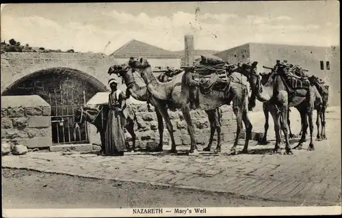 Ak Nazaret Nazareth Israel, Mary´s Well, Kamele