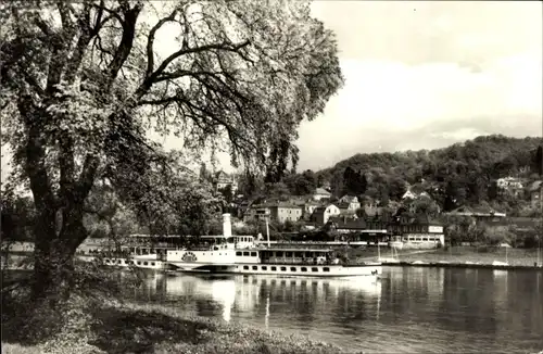 Ak Elbdampfer Dresden, Dresden Wachwitz