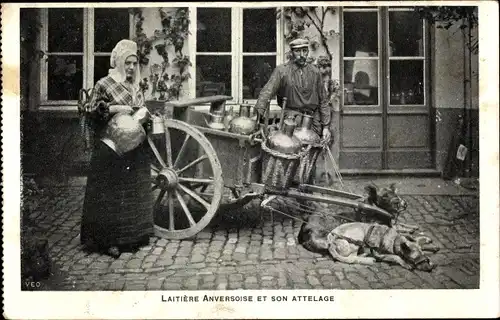 Ak Laitiere Anversoise et son Attelage, Milchmädchen, Arbeitshunde