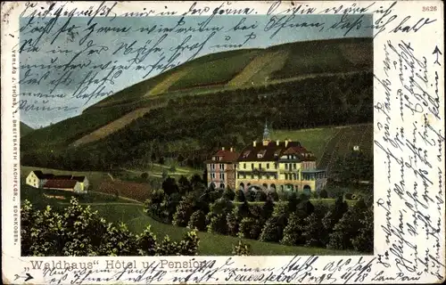 Ak Edenkoben an der Haardt Pfalz, Waldhaus Hotel und Pension