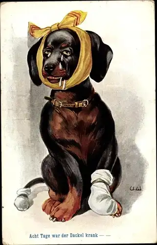 Künstler Ak Weber, Ulrich, Dackel mit Bandagen, Acht Tage war der Dackel krank