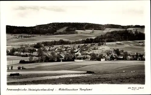 Ak Steinigtwolmsdorf in der Lausitz, Panorama