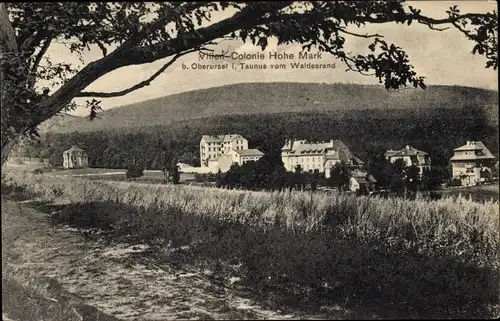 Ak Hohe Mark Hohemark Oberursel im Taunus Hessen, Villen Colonie