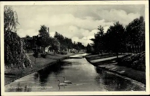 Ak Schiedam Südholland Niederlande, Stadhouderslaan