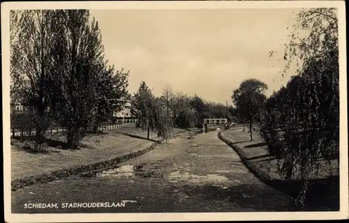 Ak Schiedam Südholland Niederlande, Stadhouderslaan