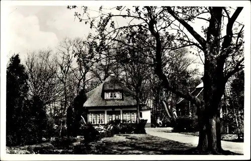 Ak Medemblik Nordholland Niederlande, Theehuis in Koningin Emma Park