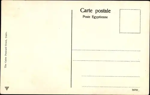 Ak Reunion d'une Circoncision arabe, Kamele, Araber