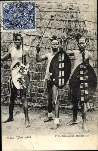 Ak Südafrika, Zulu Warriors, Krieger mit Schilden