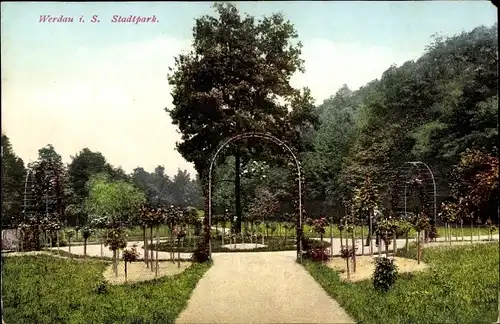 Ak Werdau in Sachsen, Rosengarten im Stadtpark, Bäume