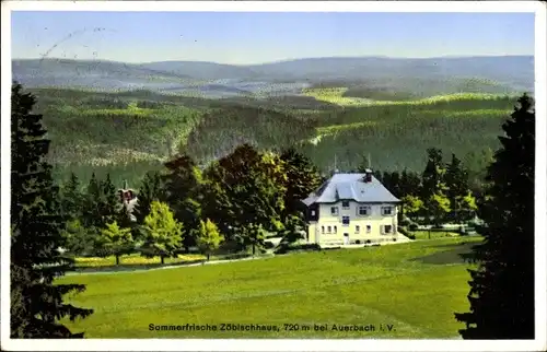 Ak Auerbach im Vogtland Sachsen, Zöbischhaus, Hotel-Pension