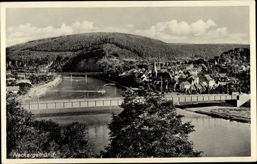 Ak Neckargemünd am Neckar, Gesamtansicht mit Brücke