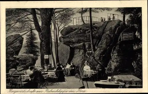 Ak Bad Harzburg am Harz, Bergwirtschaft zur Rabenklippe im Harz