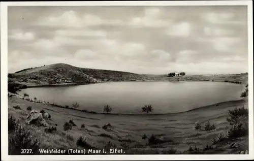 Ak Schalkenmehren in der Eifel, Weinfelder Maar