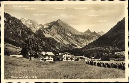 Ak Birgsau Oberstdorf im Oberallgäu, Hotel und Pension, Gebirge