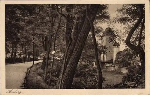 Ak Amberg in der Oberpfalz Bayern, Partie beim Ziegeltor, Fluss