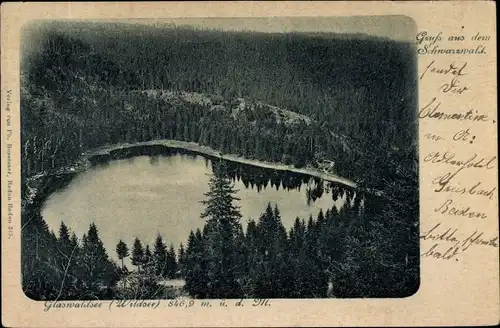 Ak Bad Peterstal Griesbach im Schwarzwald Baden, Glaswaldsee, Wildsee