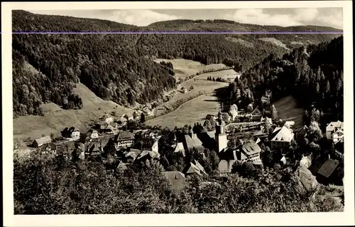 Ak Todtmoos im Schwarzwald, Panorama