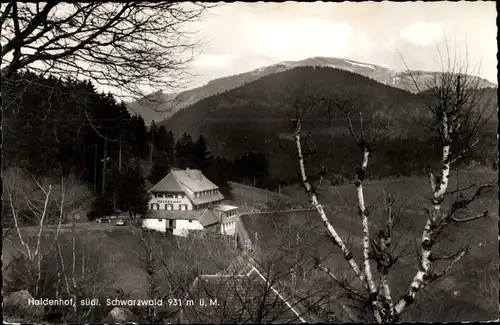 Ak Neuenweg Kleines Wiesental im Schwarzwald, Haldenhof