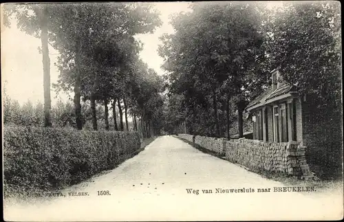 Ak Nieuwersluis Stichtse Vecht Utrecht, Weg van Nieuwersluis naar Breukelen, Allee