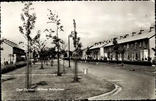 Ak Den Dolder Utrecht Niederlande, Willem Arntszlaan, Wohnhäuser