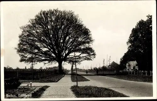 Ak Beilen Drenthe Niederlande, Eschweg