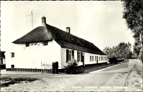 Ak Nuenen Nordbrabant, Brabantse boerderij Helsestraat