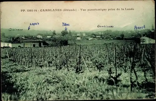 Ak Camblanes Gironde, Vue panoramique prise de la Lande