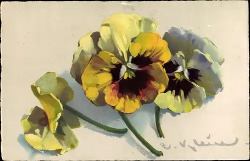 Künstler Ak Klein, Catharina, Stiefmütterchen, Meissner & Buch 2672