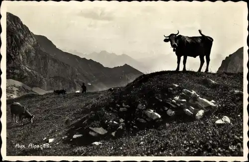 Ak Aux, Alpages, Kuh, Berge