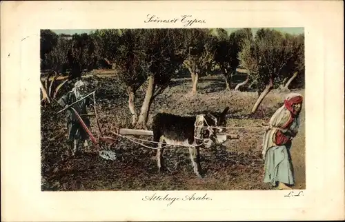 Ak Scenes et Types, Attelage Arabe, Arabsiche Bauern, Pflug, Landwirtschaft