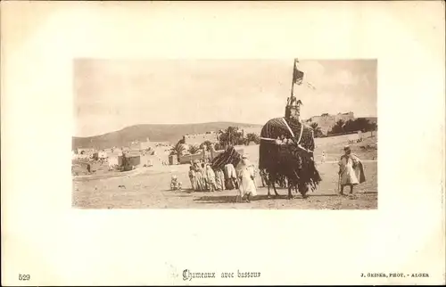 Ak Chameaux avec bassour, Maghreb