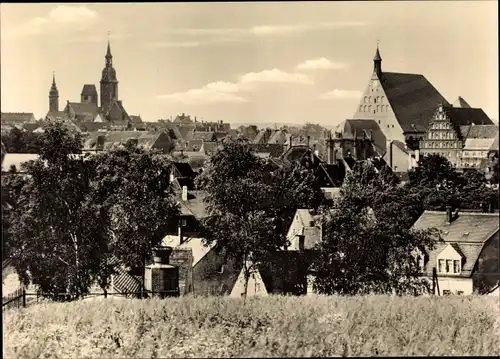 Ak Freiberg in Sachsen, Blick auf Petrikirche und Dom