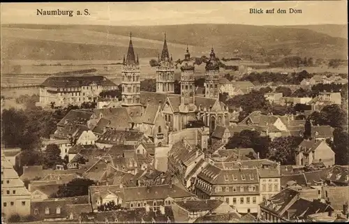 Ak Naumburg an der Saale, Blick auf den Dom