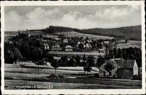 Ak Vogelsgrün Auerbach im Vogtland, Panorama