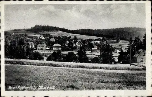 Ak Vogelsgrün Auerbach im Vogtland, Panorama