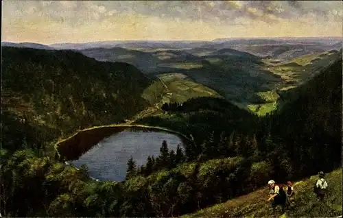 Künstler Ak Hoffmann, H., Feldberg im Schwarzwald, Blick auf den Feldsee