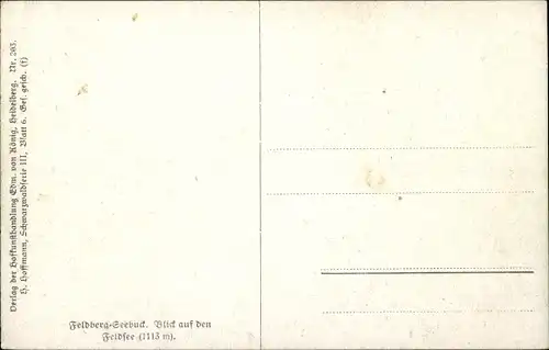 Künstler Ak Hoffmann, H., Feldberg im Schwarzwald, Blick auf den Feldsee