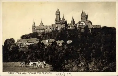 Ak Braunfels an der Lahn, Blick vom Tiergarten auf die Stadt