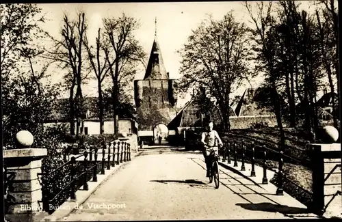 Ak Elburg Gelderland, Buxen de Vischpoort