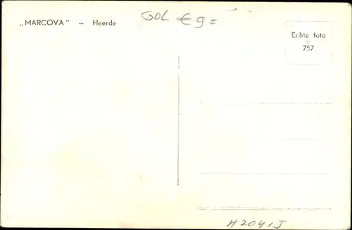 Ak Heerde Gelderland Niederlande, Marcova