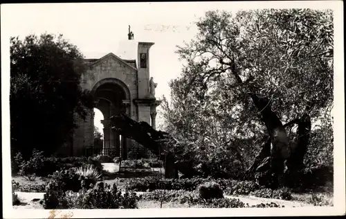 Ak Gethsemane Israel, Garten von Gethsemane