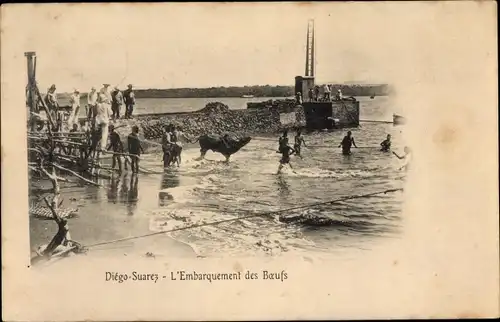 Ak Diego Suarez Antsiranana Madagaskar, L'Embarquement des Boeufs