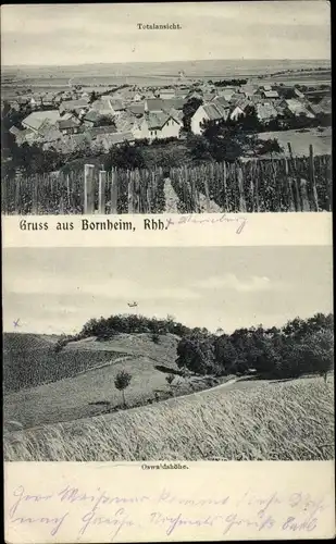 Ak Bornheim in Rheinhessen, Panorama, Oswaldshöhe